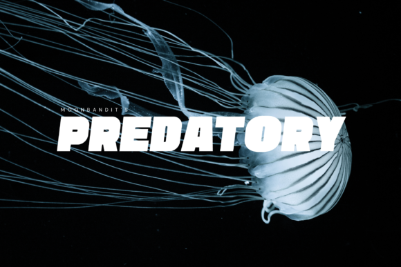 Predatory: A Bold Display Font for Strong Branding